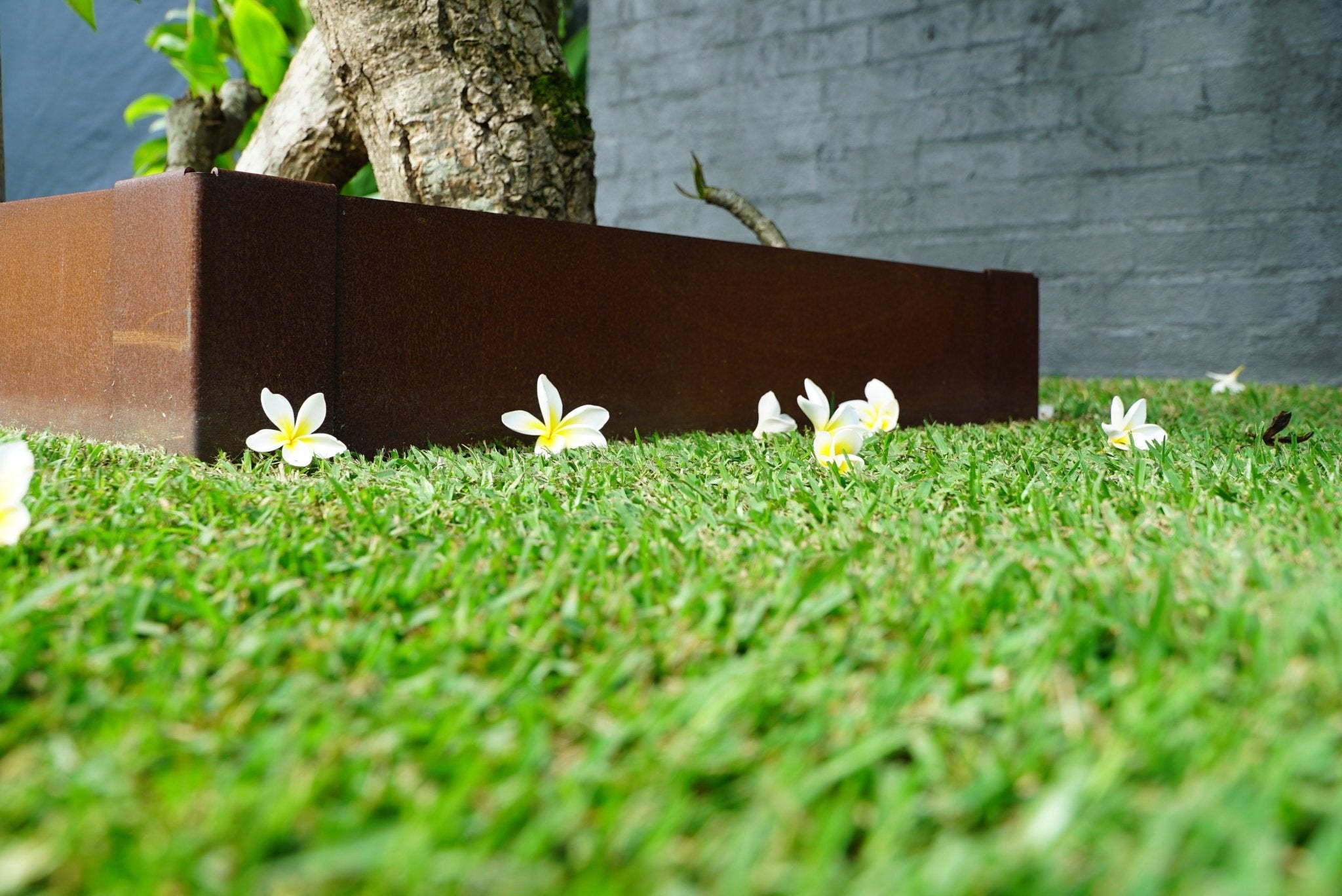 Planter Boxes